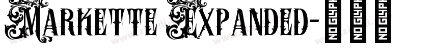 Markette Expanded字体转换